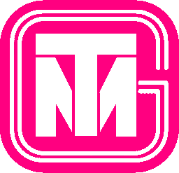 TransMarket Group logo